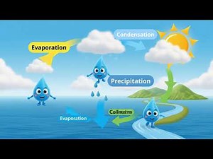 Learn the Water Cycle