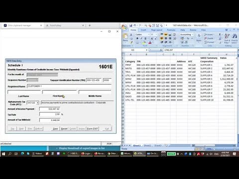 Automate Manual Data Entry or Copy Paste into BIR Alphalist Data Entry for FREE