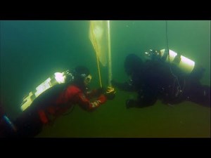 Divers Salvaging a Capsized Sailboat. Germany - may 2018
