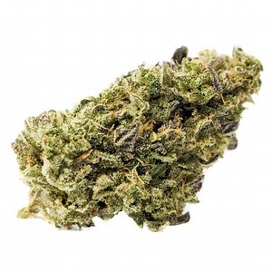 First Class Funk | Marijuana Strain Reviews