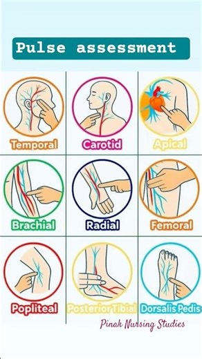 Pulse assessment | Site