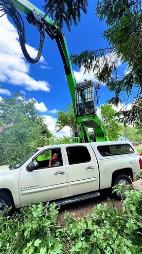Tree Service by Kravitz & Sennebogen Tree Handlers — Impressive Work