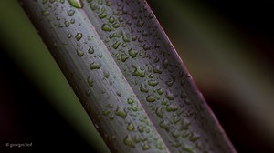 Interface Design and Management — A How-To Guide for System Engineers