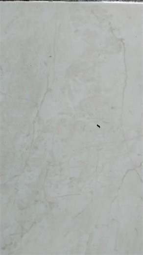 Yayasan Pendidikan Bina Nusantara SMA Informatika Ciamis, Program Plus nya yaitu : Mempelajari Hardware PC, Bahasa Jepang, Komputer Akuntansi, Microsoft Office, Excel, vba, animasi, coding html, coding javascript, Coding C, Multimedia, Desain Grafis, pemrograman JavaScript, pemrograman web, web developer, Program Aplikasi Keinformatikaan Kewirausahaan ================== #coding #informatika #ciamis #spmb2026