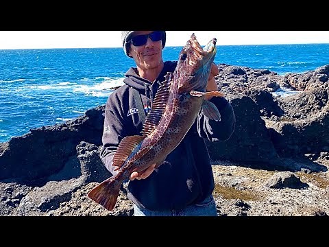 Rock Fishing The Oregon Coast, Lingcod FISHING HEAVEN!!
