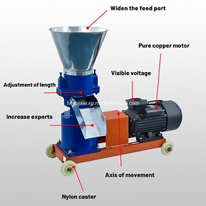 [Hot Item] a New Type of Flat Die Pellet Feed Machine