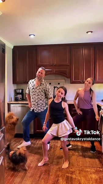 The dogs totally wanted tp join in 🤣🤣🤣 #dc @Stephanie #barabar #barbarasrhabarberbar #family #dance