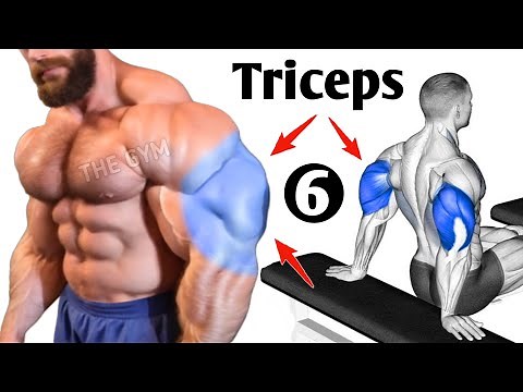 Triceps Workout At Gym ( 6 Effective Exercises )