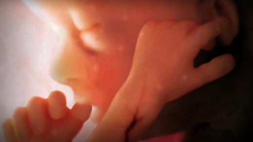 Conception to birth -- visualized