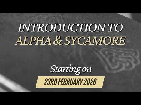 Introduction to Alpha & Sycamore