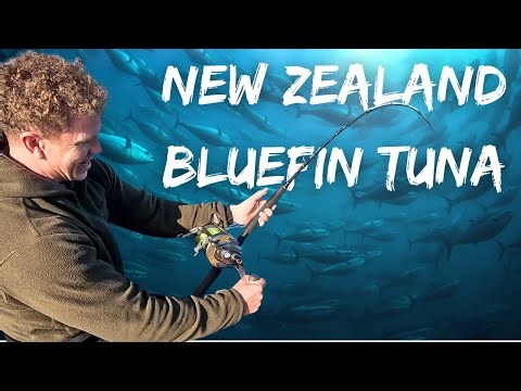 EPIC Bluefin TUNA Fishing - CATCH FILLET COOK