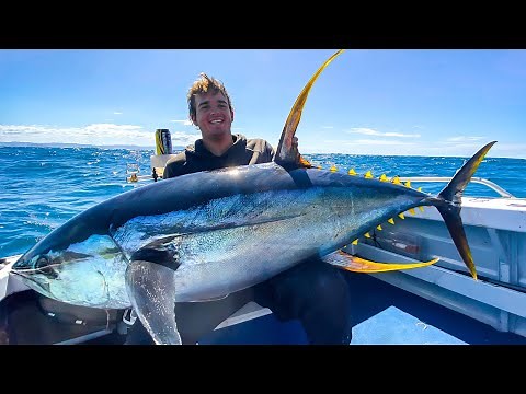 Monster Yellowfin Tuna Fishing