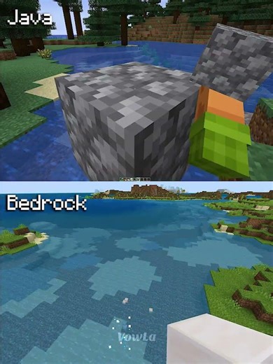 Minecraft Actions and Stuff Java vs Bedrock Part 29