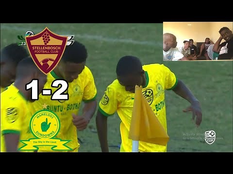 Stellenbosch FC vs Mamelodi Sundowns | All Goals | Extended Highlights | Nedbank Cup