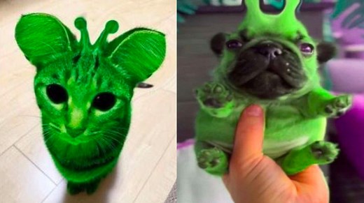 Alienposting / Zeep Glorp | Know Your Meme