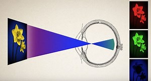 Video: A Primer on Color Spaces and Having a Color-Managed Photo Workflow