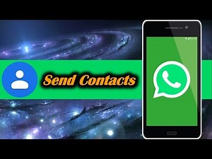 How to Send Contact in WhatsApp
