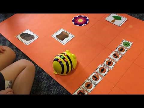 Learning to Code with Bee-Bots