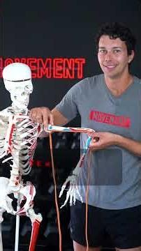 How to Strengthen Weak Tendons
