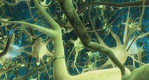 Deep Learning: Recurrent Neural Networks in Python