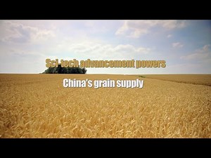 Sci-tech advancement powers China's grain supply