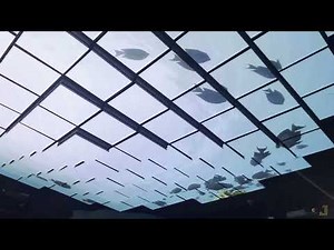 Transforming Retail Spaces with LED Technology | Retail Experience Center by SMERK Technologies