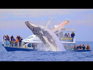 Boat Fails and Incredible Moments Caught On Camera