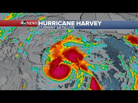 Hurricane Harvey live stream: Storm makes landfall in Texas