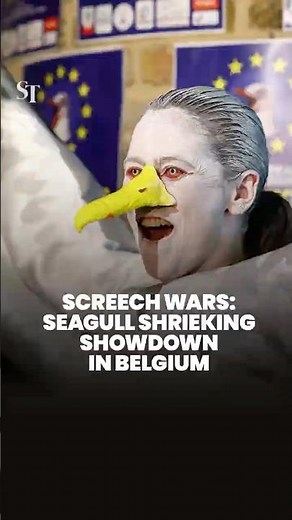 Screech Wars: Seagull shrieking showdown raises awareness