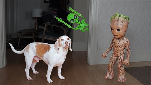Groot saves dogs from an alien skeleton attack