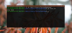 How to run a Shell script on Windows 10