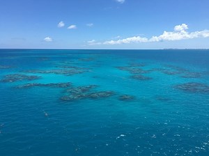 14 Mysteries of the Ocean Scientists Still Can’t Explain