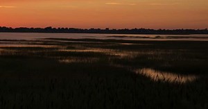 MassHealth Health Plans