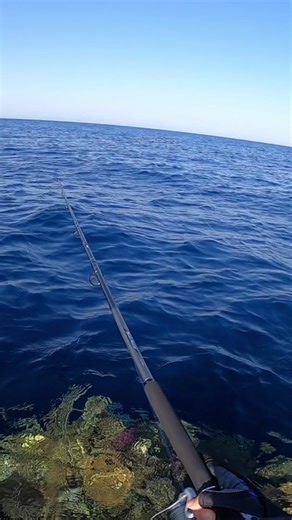 ‏Explosion 🔥🔥🎣🎣#nature #fyp #foryou #foryoupage #fishing