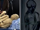 'Alien Mummies' mystery deepens as two more corpses are found in Peru