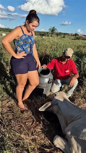 Traditional Cow Milking on Farm 🐄 | Real Village Life & Fresh Milk Process #villagelife #farming