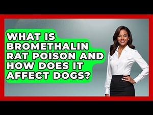 What Is Bromethalin Rat Poison And How Does It Affect Dogs? - Insects and Invaders