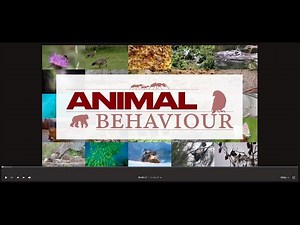 Animal Behavior Series Ep7 - Animal Mating Systems