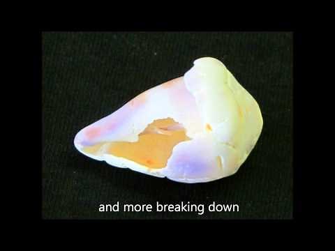 The Making Of A Real Hawaiian Puka Shell Necklace.wmv