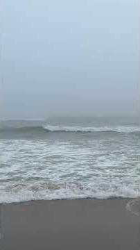 Foggy morning, wave sounds, Cape Cod #waves #peacefulwaves #beachsounds #beach #oceansounds