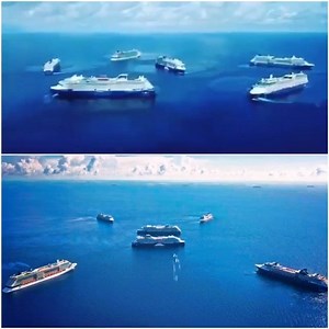 [in a global pandemic] No one: Cruise ships: 💃🕺🏼 . (Celebrity Cruises 📸 @captain_manolis) | Cruise Memes