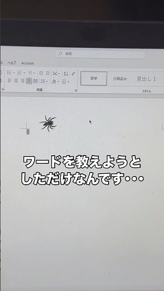 本当にワードを教えようとしただけなんです。驚かせるつもりは毛頭なかったのに。 #クモ #蜘蛛 #word #shorts