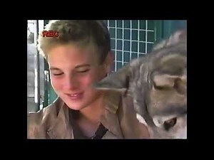 Disney Channel Commercials & On-Screen Banners (January 5, 2006)