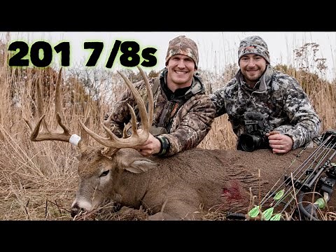 The Hunt For Lightning! A Monster 201 7/8s Iowa Bow kill!| Bowmar Bowhunting |