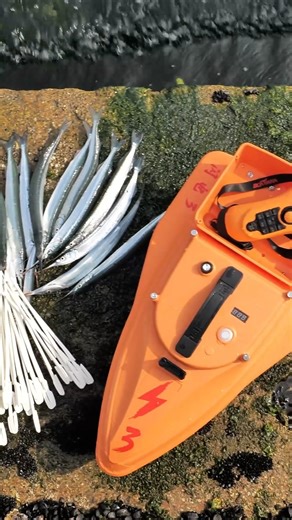 Curious how a smart fishing boat works? | Boatman Factory