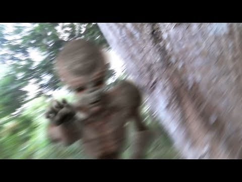 Grey Alien Caught On Tape 2017