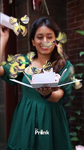 DIY Butterfly box for Birthday and Anniversary | Flying Butterfly Surprise Explosion Box Reaction