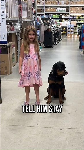 This Is How You Teach Sit & Stay!