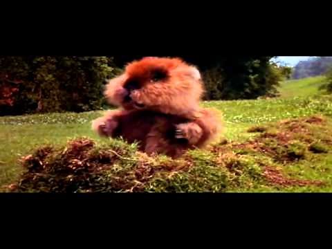 gopher dance caddyshack