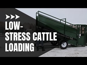 Cattle Loading Chute | Cattle Equipment | Demo